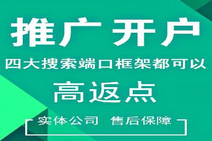 SEM专员案例深度解读